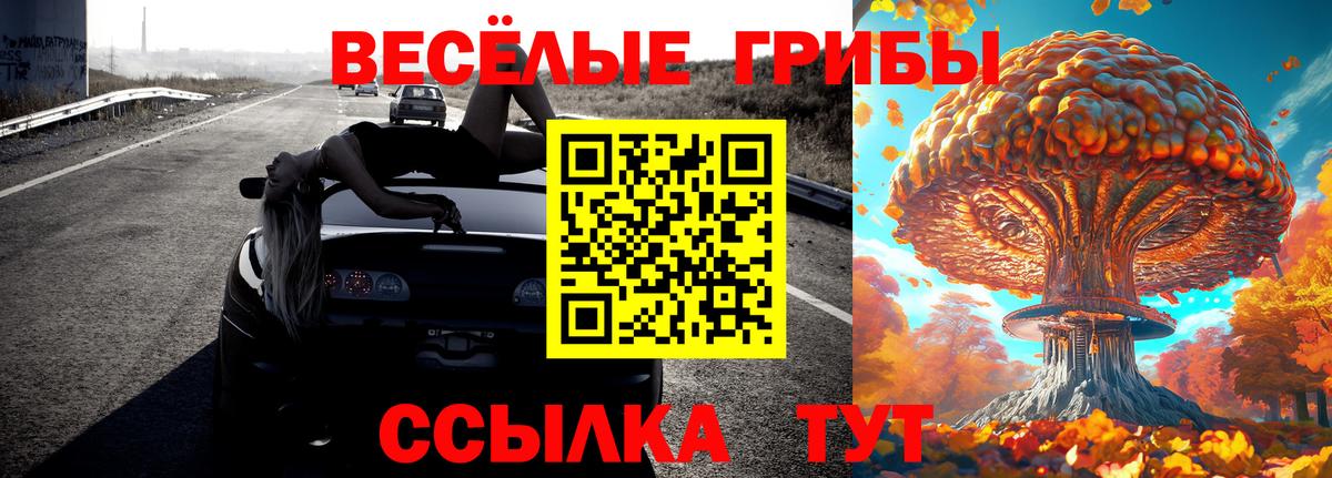 Галлюциногенные грибы Psilocybine cubensis Борисоглебск